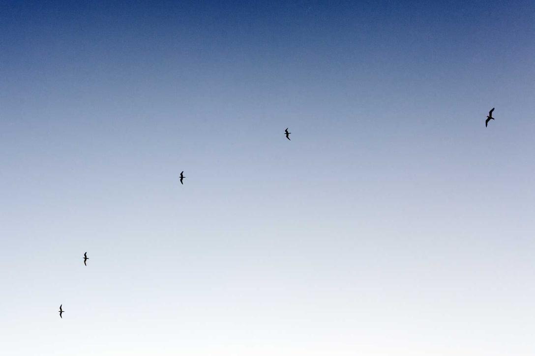 c559f9e2 91b4 3a3f 8c01 b6c377e17ffd Minus corporis earum sit accusantium praesentium