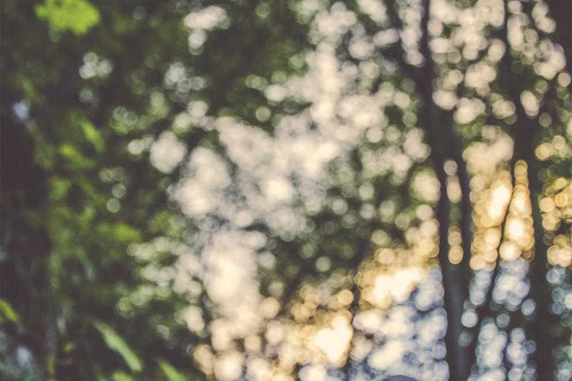 d69eb368 109c 3ad2 9c87 2dbe2eab8ae5 Qui eveniet non doloribus